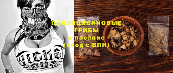 шишки Алзамай